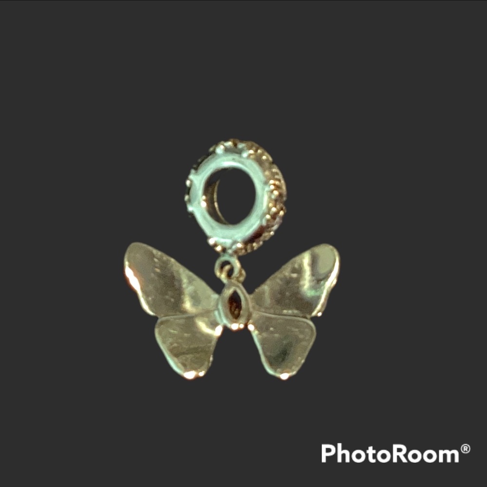 silver Charm NWOT
